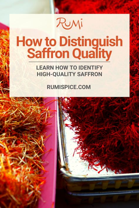 Only the red saffron stigmas contain crocin and safranal, which are responsible for the famous color and aroma of premium saffron threads. That's why the yellow styles are cut and separated at our facility prior to drying. Check out our guide to learn more! #rumispice #saffronquality #neginsaffron #sargolsaffron #negin #sargol #saffron #saffronflower #saffronspice #saffronfacts #saffronlove #saffronthreads #saffronharvest #highqualitysaffron #premiumsaffron #afghansaffron #ilovesaffron Saffron Tincture Recipe, Growing Saffron, Cumin Recipes, Saffron Benefits, Tinctures Recipes, Saffron Recipes, Saffron Spice, Saffron Flower, Saffron Threads