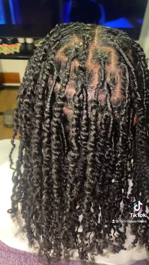 Two Strand Twist Locs Starter, Two Strand Twist Starter Locs Before And After, Starter Locs Method, Starter Locs Twist Method, 2 Strand Starter Locs Black Women, Starter Locs Coils Vs Twists, Medium Two Strand Twist Starter Locs, Twist Starter Locs, Two Strand Starter Locs