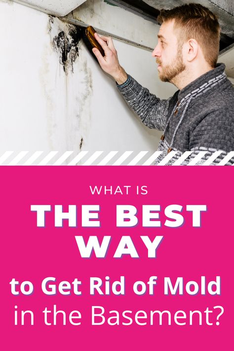 Got a dank basement in your home? If things smell a bit musty down there, it may be time to read this article on how to get rid of mold in a basement. We've figured out the best way to approach this challenge. Getting Rid Of Mold On Walls, Basement Smell Get Rid Of, Get Rid Of Basement Smell, Musty Basement How To Get Rid Of, Getting Rid Of Mold In Bathroom, How To Get Rid Of Black Mold On Walls, Basement Moisture Control, How To Get Rid Of Mold In Basement, Mold In Basement