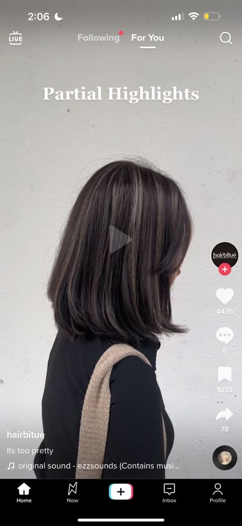 Discreet Colored Hair, Subtle Dyed Hair Brunettes, Subtle Hair Dye Ideas Brunettes, Black Hair With Minimal Highlights, Dip Dye Bob Brunette, Partial Dyed Hair, Dusty Brown Highlights On Black Hair, Partial Highlights, Brown Hair Balayage