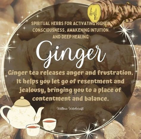 Ginger Witchcraft Uses, Ginger Meaning Witchcraft, Ginger Spiritual Meaning, Ginger Spiritual Benefits, Ginger In Witchcraft, Green Tea Witchcraft, Ginger Magical Properties, Ginger Witchcraft, Rice Witchcraft