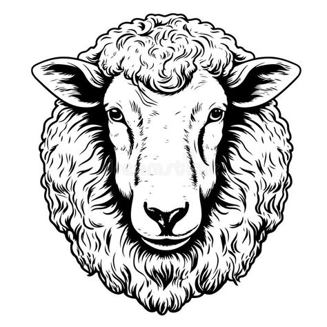 Lamb Face, View Sketch, Farm Sheep, Sheep Tattoo, Farm Vector, Sheep Vector, Sheep Art, Sheep Farm, Sheep And Lamb