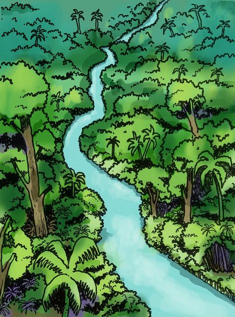 River Rainforest Nature - Free image on Pixabay How To Draw A Rainforest, Amazon Rainforest Illustration, Tropical Rainforest Drawing, Rainforest Sketch, Rain Forest Drawing, Jungle Drawing Easy, Rainforest Drawing, Rainforest Map, Rainforest Illustration