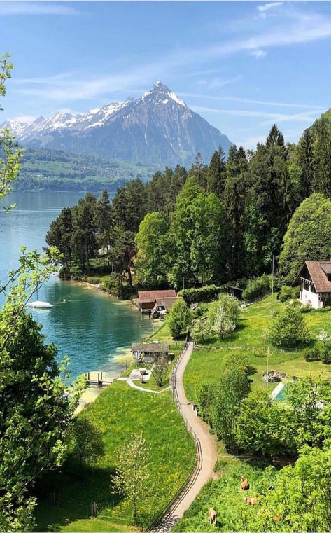 Emerald Tiara, Places In Switzerland, Green Scenery, Image Nature, Emerald Bracelet, Scenic View, Beautiful Places Nature, Queen Mary, Beautiful Scenery Nature