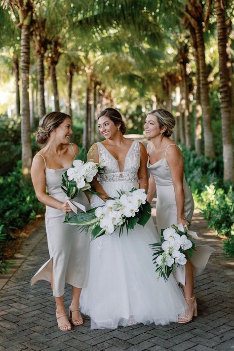 Tropical Wedding Photography, Bella Bridal, Florida Keys Wedding, Florida Wedding Venues, Keys Wedding, Wedding Photography Styles, Seaside Wedding, Miami Wedding, Maternity Shoot