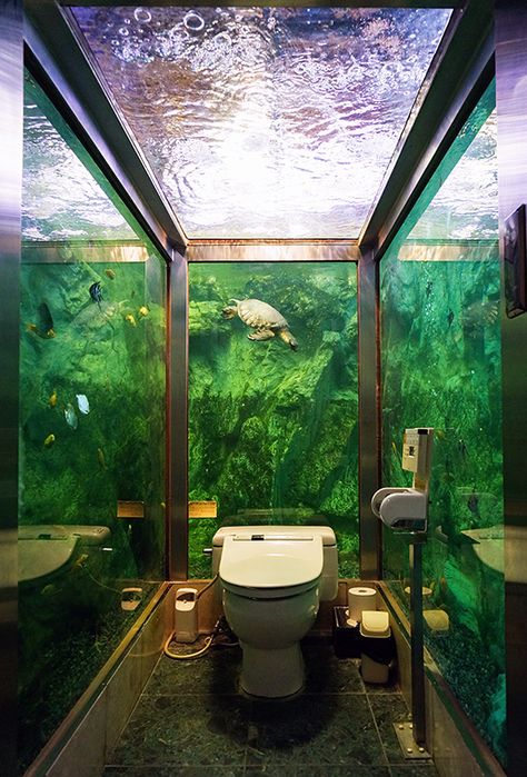 Amazing loos in Japan. Hipopopapa restaurant in Akashi Hyogo. Kobe. Aquarium toilet Crazy Toilet Design, Japanese Toilet Room, Amazing Toilets, Japanese Toilet Design, Dream Toilet, Garden Toilet, Cool Toilets, Toilet Design Modern, Eco Friendly Toilet