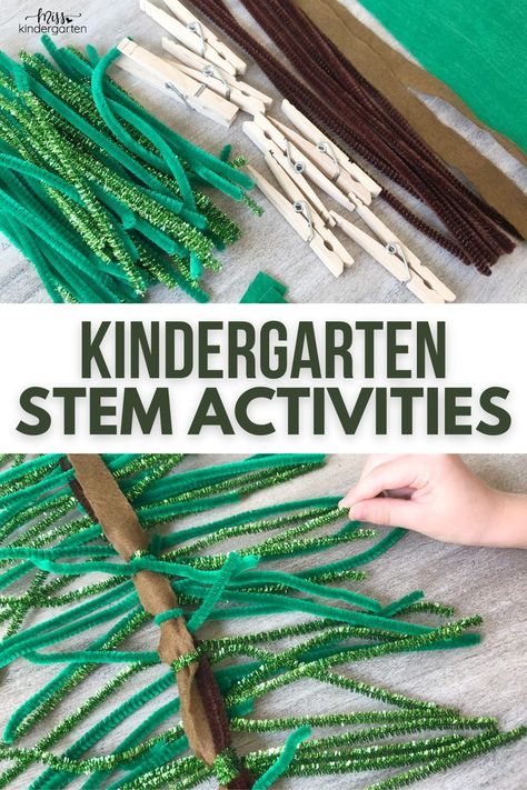 Simple Stem Activities For Kindergarten, Forest Stem Activities, Stem Games For Kindergarten, Stem Challenge Preschool, Kindergarten Co Op Ideas, Stem Bin Ideas, Stem Ideas For Kindergarten, Stem Kindergarten Activities, Stem For Kindergarten