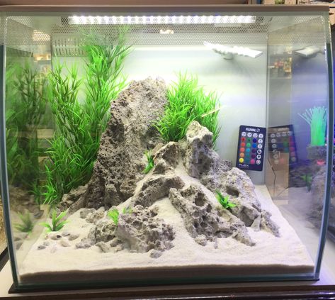 Fluval flex 15 gal nano tank dryscape Fluval Flex 9 Gallon Aquascape, Fluval Flex 15 Aquascape, Fluval Flex Aquascaping, Fluval Flex 15, Beta Aquarium, Aquascape Ideas, Aquascape Design, Tropical Fish Tanks, Fresh Water Fish Tank