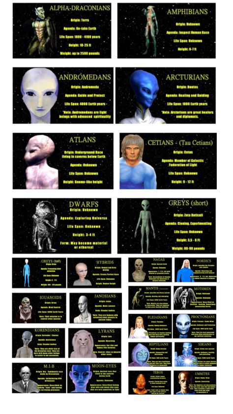 Galactic Art, Types Of Aliens, Aliens History, Alien Species, Ancient History Facts, Transformers Decepticons, Aliens And Ufos, Alien Races, Star System