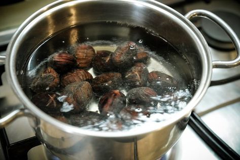 BOILED CHESTNUTS Cooking Chestnuts, Diy Trays, Baking Substitutions, Chestnut Recipes, Kitchen Tricks, Roasted Chestnuts, Roasted Nuts, Grain Free Recipes, Chutney Recipes