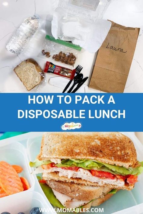 How to pack a completely disposable lunch for a school picnic or field trip. Healthy Field Trip Lunches, Field Trip Lunch Ideas For Parents, Field Trip Sack Lunch Ideas, Sack Lunch For Field Trip, Field Trip Lunch Ideas Kids Disposable, Brown Bag Lunch Ideas Field Trip, School Field Trip Lunch Ideas, Sack Lunch Ideas For Kids Field Trip, Lunch Ideas For Field Trips