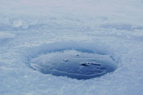 Ice Fishing Aesthetic, Fishing Hole, Winter Fishing, Art 2024, Into The Abyss, Wood Burning Crafts, French Class, Fall Mini, Snow Angels