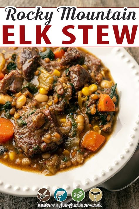 Elk Stew Recipes, Elk Marinade, Elk Stew, Ground Elk Recipes, Chile Beans, Elk Chili, Homestead Meals, Elk Meat Recipes, Hunting Recipes