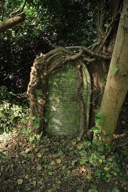 Cemetery Gates, Reclaimed By Nature, Cemetery Statues, Cemetery Headstones, Grave Stones, Old Cemeteries, Cemetery Art, Grave Markers, Hauntingly Beautiful