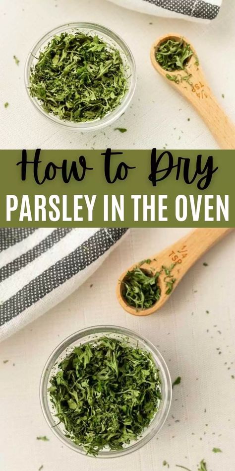 Learn How to Dry Parsley in the Oven with these easy instructions. These steps will teach how to never let fresh parsley go to waste. You’ll be surprised by how easy it is to dry parsley leaves at home. #eatingonadime #parsley #howto How To Dry Parsley In Oven, Drying Parsley In Oven, How To Dry Parsley Leaves, Preserve Parsley, Drying Parsley, Fresh Parsley Recipes, Drying Fresh Herbs, Parsley Recipes, Parsley Leaves