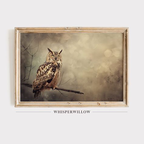 Gray Abstract Background, Dashboard Header, Animal Wildlife, Owl Art, Wall Art Wall, Art Wall Decor, Cabin Decor, Downloadable Art, Vintage Wall