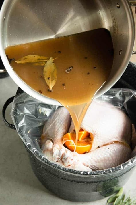 Apple Cider Brined Turkey, Best Turkey Brine, Turkey Brine Recipe, Brine Recipes, Moist Turkey, Best Apple Cider, Turkey Brine Recipes, Turkey Brine, Best Thanksgiving Recipes