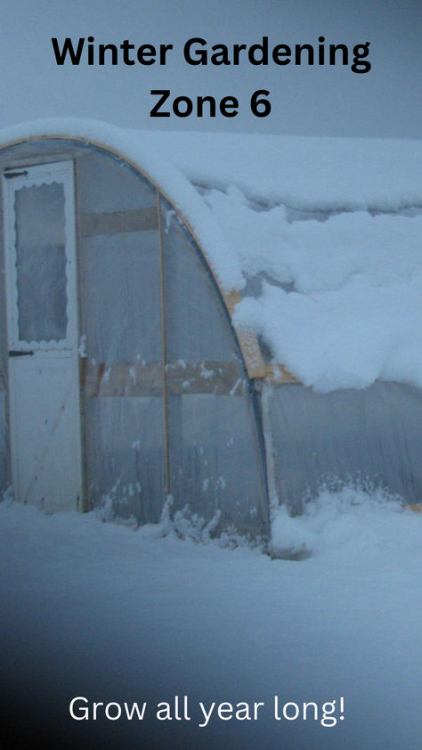 greenhouse in winter Zone 6 Gardening, Winter Greenhouse Gardening, Zone 6 Winter Garden, Zone 5 Winter Garden, Winter Gardening, Winter Greenhouse, Zone 5, Winter Crops, Greenhouse Growing