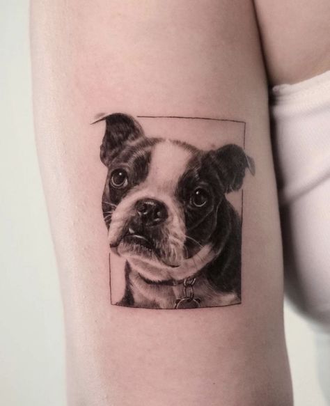 Realistic Dog Portrait Tattoo, Dog Tattoo Realism, Dog Realistic Tattoo, Realistic Dog Tattoo, Arm Tattoos Cute, Men Arm Tattoos, Color Realism Tattoo, Pet Portrait Tattoo, Micro Realism Tattoo