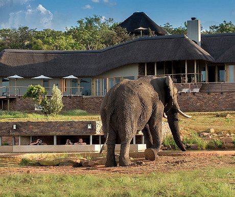 Africa Safari Lodge, African Lodge, Game Reserve South Africa, South Africa Safari, Game Lodge, Safari Lodge, Africa Safari, Game Reserve, African Safari