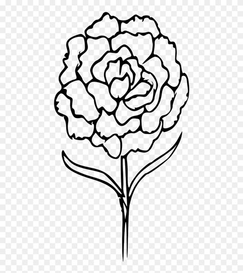 Easy Carnation Drawing, Carnation Doodle, Carnation Drawing Simple, Carnation Line Drawing, Carnation Tattoo Outline, Carnation Outline, Carnation Drawing, Ios Setup, Tattoo Png