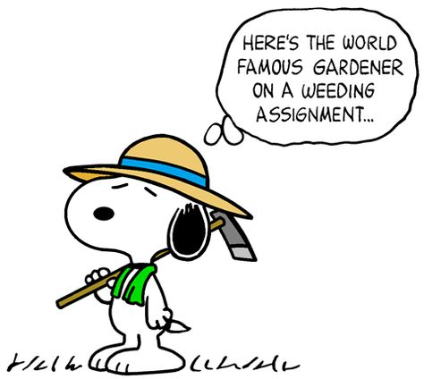 Snoopy Gardening, Gardener Cartoon, Snoopy Garden, Gardening Memes, Urban Garden Design, 2024 Planner, Snoopy Images, Snoopy Pictures, Daily Holidays