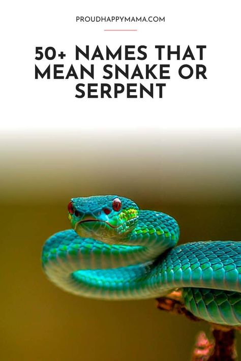 Names Meaning Snake, Baby Names Meaning, Snake Names, List Of Baby Names, Snake Meaning, Best Baby Names, Names Meaning, Goddess Names, Powerful Names