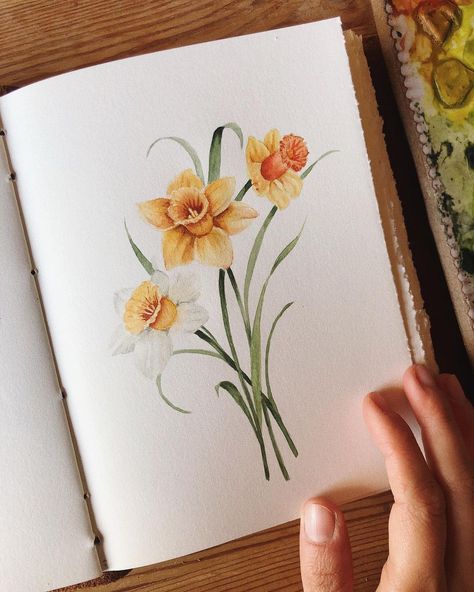 Daffodil Watercolor, Vintage Style Wall Decor, Watercolor Birthday Cards, Flower Drawing Tutorials, Botanical Illustration Vintage, Botanical Artwork, My Sketchbook, Watercolor Artists, Painting Vintage