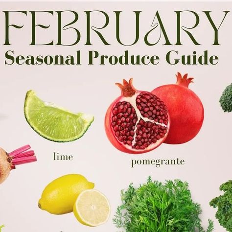 Health | Fitness | Tips on Instagram: "February Seasonal Guide. . . . . . #health #healthtips" Foods In Season, Seasonal Produce Guide, Why Try, February 3, Seasonal Food, In Season Produce, February 11, What You Eat, Eat Healthy