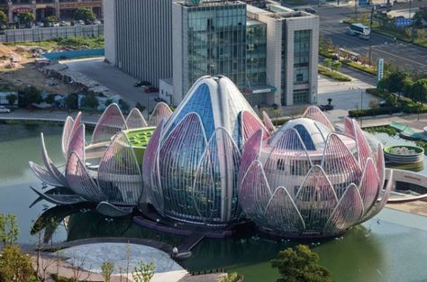 Wujin Lotus Center in China by Studio505 Lotus Building, Futuristic Building, Artificial Lake, Unusual Buildings, Changzhou, Australian Architecture, Amazing Buildings, Unique Buildings, Unique Architecture