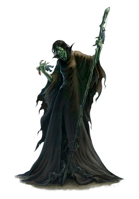 Green Hag, Magic Artifacts, Halloween Craft Projects, Fantasy Witch, Savage Worlds, D D Monsters, Rpg Characters, Dnd Monsters, Dungeons And Dragons Characters