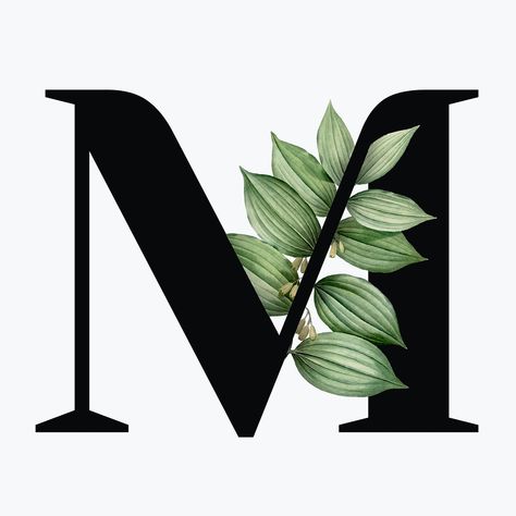 Botanical capital letter M font design | free image by rawpixel.com / Aum M Fonts Design, N Letter Design, Botanical Capital Letter, Layout Portfolio, Alfabet Font, Layout Web, Art Zine, Art Journal Cover, Free Illustration Images