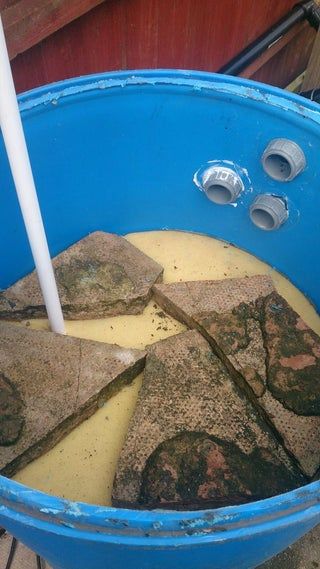 Koi Fish Pond Bio-filter : 8 Steps - Instructables Water Swirl, Diy Pond, Pond Filters, Koi Fish Pond, Pea Gravel, Water Features In The Garden, Submersible Pump, Fish Pond, Koi Pond