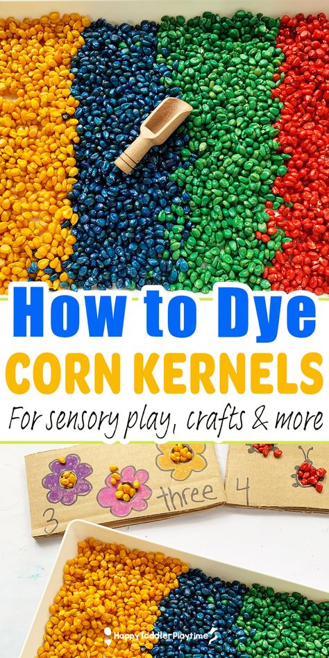 Corn Science Preschool, How To Color Popcorn Kernels, How To Dye Corn Kernels, Corn Kernel Crafts, Corn Sensory Bin Ideas, Diy Corn Maze, Corn Crafts For Toddlers, Corn Activities For Toddlers, Corn Preschool