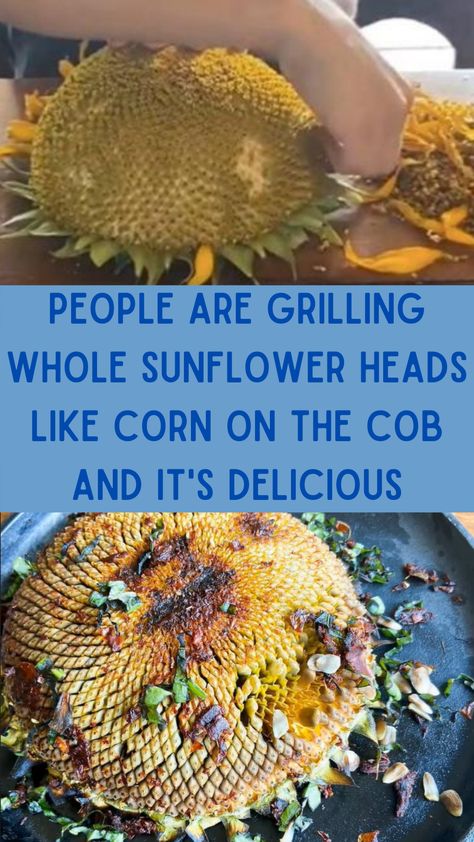 Sunflower Heads, New Food Trends, Easy Recipies, Sunflower Head, Campfire Cooking, Corn On The Cob, Garden Recipes, Food Trends, Diy Life Hacks