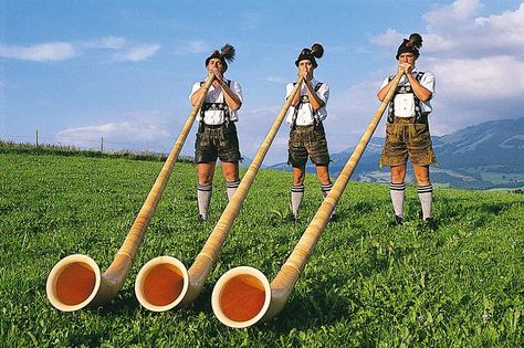 traditional musical instruments of switzerland - Google Search Strange Music, World Thinking Day, Swiss Alps, World Music, Sound Of Music, Girl Scouts, Orchestra, Musical Instruments, Switzerland