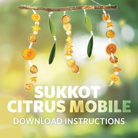 Sukkot Crafts For Toddlers, Sukkot Activities Preschool, Sukkot Preschool Activities, Sukkot Decorations Diy, Sukkot Preschool, Sukkot Crafts For Kids, Sukkot Activities, Sukkot Crafts, Sukkah Decorations