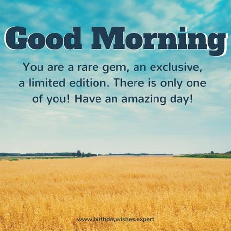 Good Morning. You are a rare gem, an exclusive, a limited edition. There is only one of you! Have an amazing day! Dru Hill, Good Morning For Him, Good Morning Handsome, Good Morning Motivation, Good Morning Quotes For Him, Morning Quotes For Him, Morning Texts, Good Morning Cards, Good Morning Funny