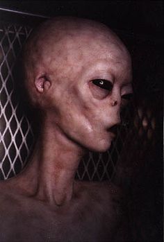 Are Aliens Real | Alien Area 51 Photo Gallery & Experiences Alien Pictures, Alien Photos, Aliens Exist, Alien Encounters, Mysteries Of The World, Unexplained Mysteries, Grey Alien, Thought Experiment, Arte Alien