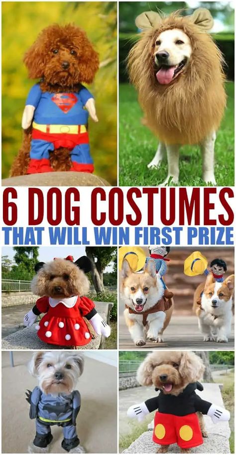 Adorable Dog Costumes for Halloween - Barefoot Budgeting Alien Diy, Dog Costumes For Halloween, Diy Pet Costumes, Best Dog Halloween Costumes, Cat Costume Diy, Dog Costumes Funny, Pet Parade, Costumes For Halloween, Diy Dog Costumes