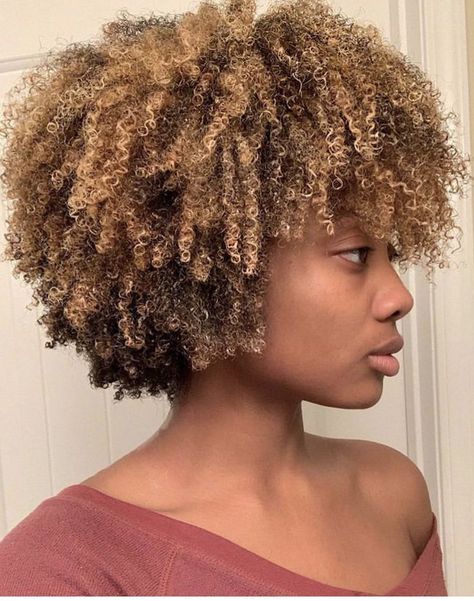 Look at the curl definition Honey Blonde 4b Natural Hair, Blonde Type 4 Natural Hair, Natural Hair Blonde Highlights, 4c Hair Highlights, 4c Hair Color Ideas, Hair Color For Brown Skin, Blonde Afro, Curly Afro Hair, Blonde Natural Hair