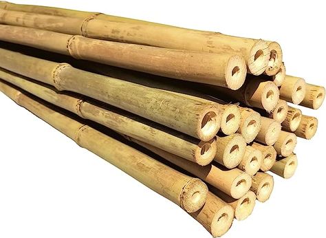 Amazon.com : Dlh Western Natural Bamboo Poles, Eco-Friendly Plant Support Garden Stakes 6ft Long, Diameter of 5/8" (25-Count) : Patio, Lawn & Garden Vine Trellis, Plant Ties, Bamboo Poles, Eco Friendly Garden, Bamboo Canes, Plant Supports, Garden Stakes, Outdoor Plants, Garden And Yard