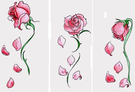 Falling petals tat idea Rose Petals Falling, Wilted Rose, Beauty And The Beast Tattoo, Rose Sketch, Tattoo Rose, Roses Tattoo, Flower Drawings, Trendy Tattoo, Enchanted Rose