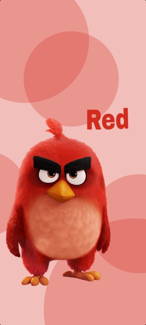 Angry Birds Wallpaper, Angry Birds Movie Red, Red Angry Bird, Birds Movie, Birds Wallpaper, Iphone Wallpaper For Guys, Angry Birds Movie, Hd Anime, Hd Anime Wallpapers