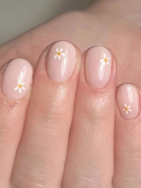 daisy nail design: short nude nails Short Minimalist Nail Designs, Simple Daisy Nails, White Manicure Designs, Cute Minimalist Nails, Simple Floral Nails, Manicure Designs For Short Nails, Flower Accent Nail, Daisy Nail Designs, Daisy Nail Design