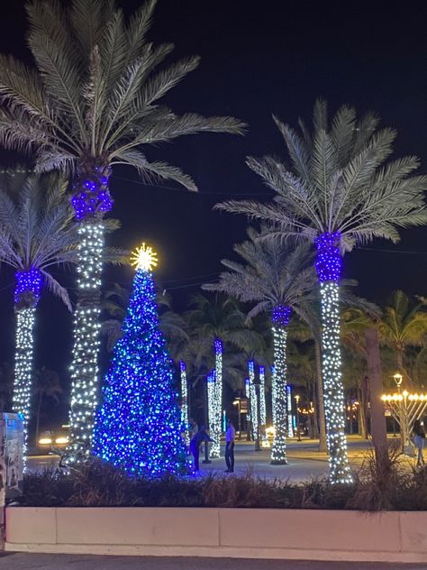 Florida Winter Aesthetic, Christmas Florida, Christmas In Miami, St Augustine Florida Christmas, Christmas In Florida, Florida Winter, Winter In Florida, Christmas Sketch, Holiday Lights Display