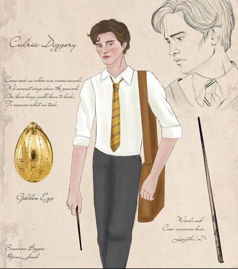 Cedric Diggory was a British wizard. He started attending Hogwarts School of Witchcraft and Wizardry in 1989 and was sorted into the Hufflepuff House. During his time at school, he was a perfect and captained the Hufflepuff Quidditch team, playing as Seeker. In his sixth year Cedric put his name forward to compete in the Triwizard Tournament. Peeps Comment down to share your thoughts.......... Triwizard Tournament Fanart, Cedric Diggory Fanart, Cedric Fanart, Cedric Diggory Fan Art, Hufflepuff Quidditch, The Triwizard Tournament, Hp Fanart, Harry Potter Goblet, Potter Fanart