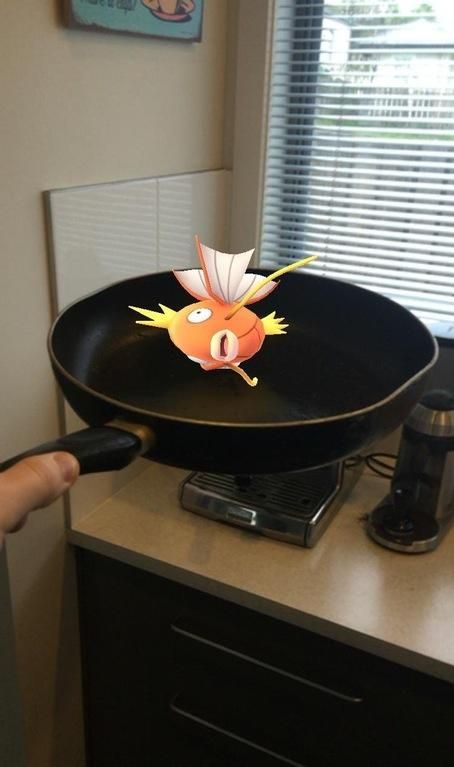 Just cooking my Magikarp, you know, the usual... Funny Pokemon Go, Buu Dbz, Team Mystic, Mega Pokemon, Pokemon Gif, Play Pokemon, Pokemon Memes, Pokemon Funny, All Pokemon