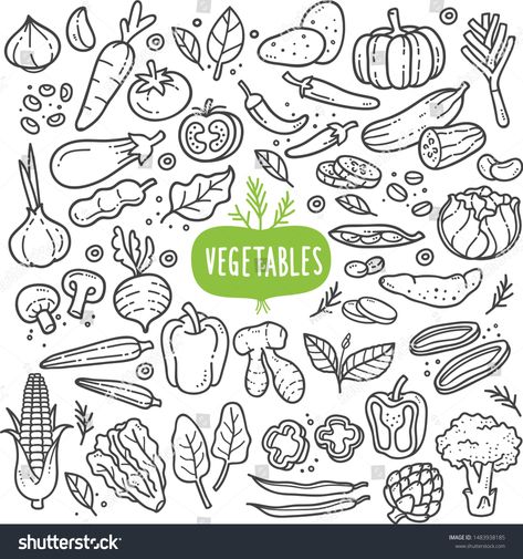 Vegetables doodle drawing collection. vegetable such as carrot, corn, ginger, mushroom, cucumber, cabbage, potato, etc. Hand drawn vector doodle illustrations in black isolated over white background. #Ad , #spon, #corn#carrot#ginger#cucumber Drawing Collection, Sketch Note, Food Doodles, Sketch Notes, Doodle Illustration, Hand Drawn Vector, Creative Icon, Bullet Journal Doodles, Black And White Illustration