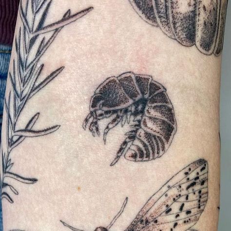 Ula on Instagram: "Closeups of the recent patchwork sleeve I finished for Pam. Inspired by her memories of growing up in Oregon ✨ Lines healed shading fresh. My books are opening on 1st of July. More details how to book soon.💫 @lunaandsoltattoo #sleeve #sleevetattoo #patchworktattoo #tattoos #closeup #tattoos #uktattoo" Earthy Sticker Sleeve, Tree Mushroom Tattoo, Nature Tattoo Filler, Bug Patchwork Tattoo, Forestcore Tattoo, Sundew Tattoo, Botanical Patchwork Sleeve Tattoo, Earth Worm Tattoo, Woodlouse Tattoo